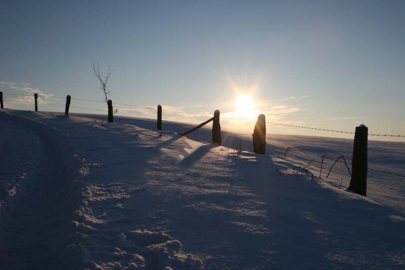 Winterträumerei...