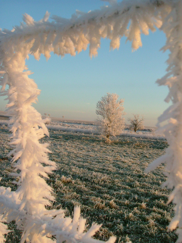 Winterträumereien 1