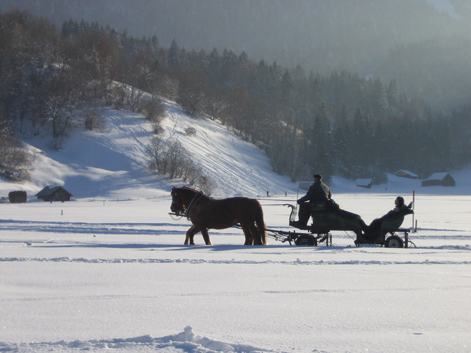 Winterträumereien