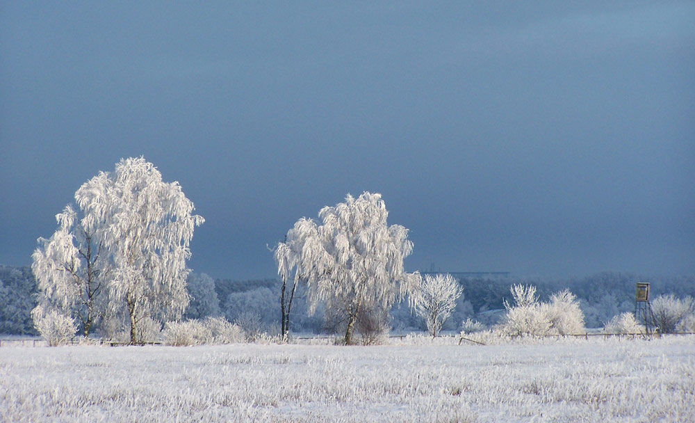 Wintertraum