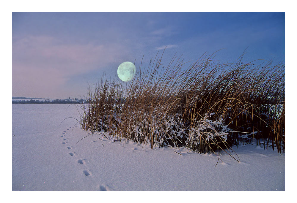 Wintertraum von Martin Fandler