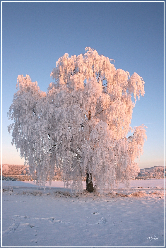 *** Wintertraum ***