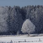 Wintertraum