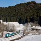 Wintertraum Allgäu