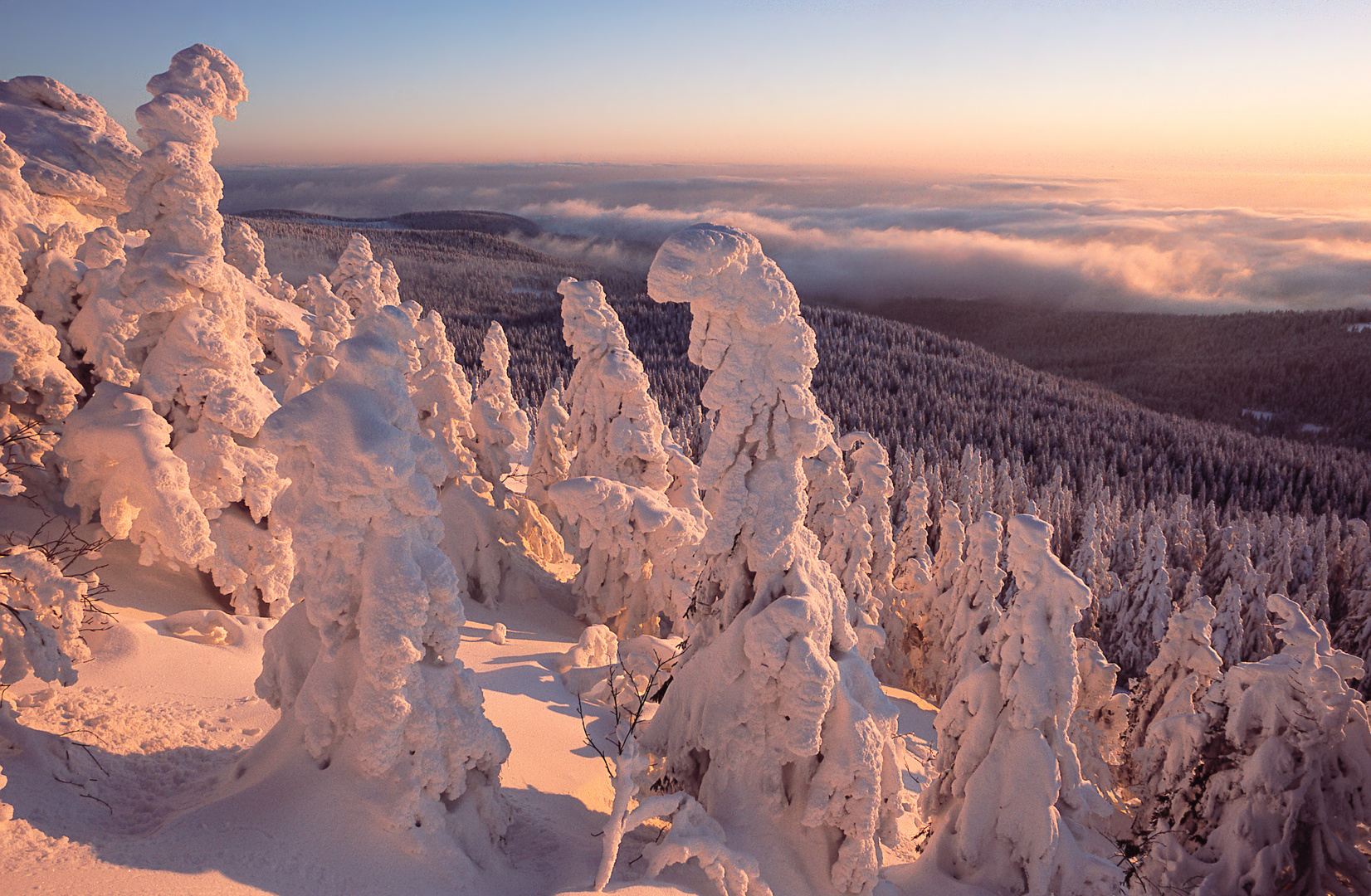 Wintertraum am Arber