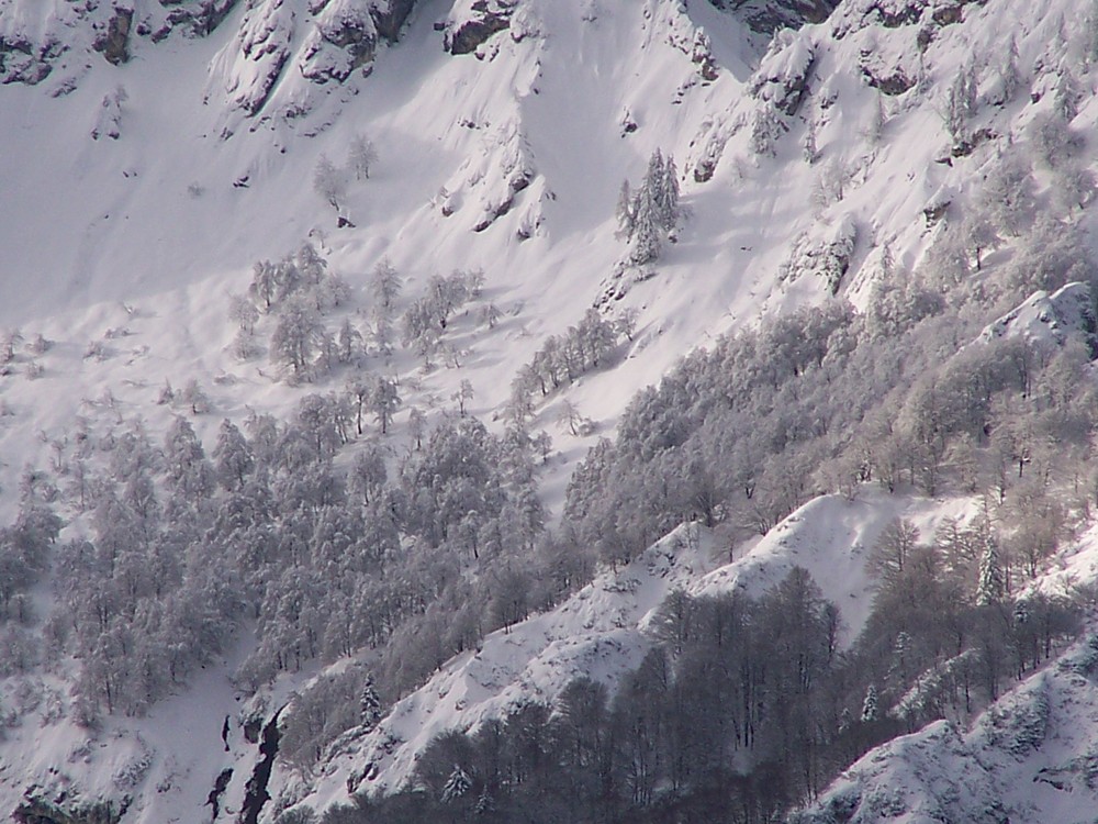 Wintertraum am Berg