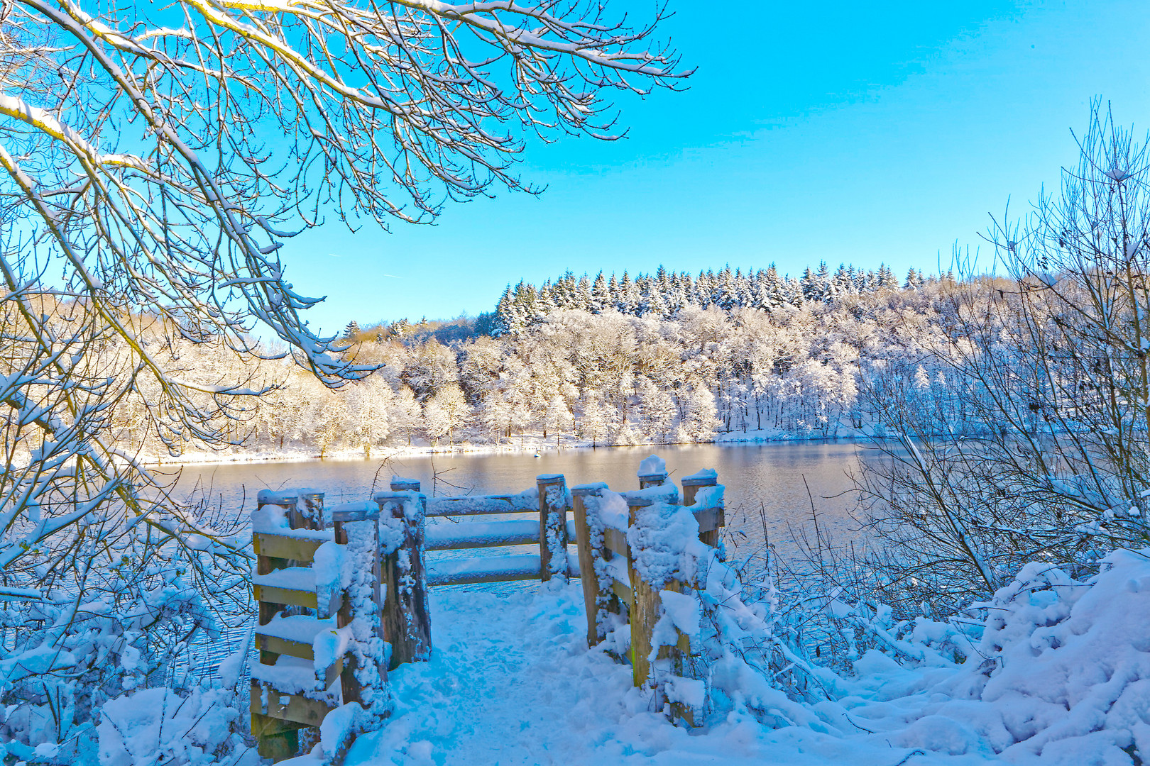 Wintertraum am Holzmaar