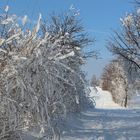 Wintertraum am Kottmar/Oberlausitz