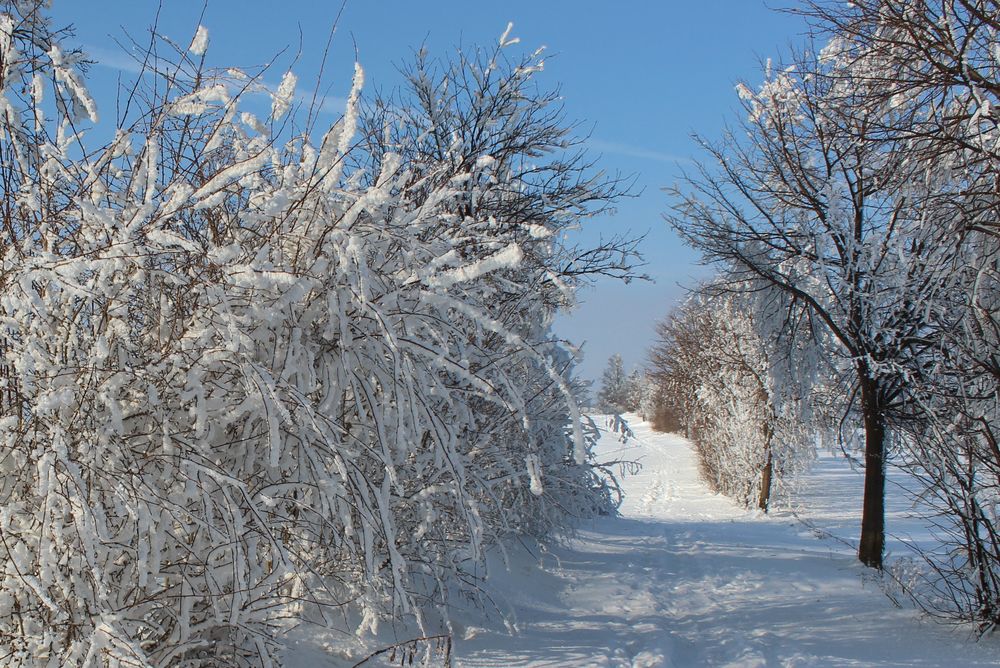 Wintertraum am Kottmar/Oberlausitz