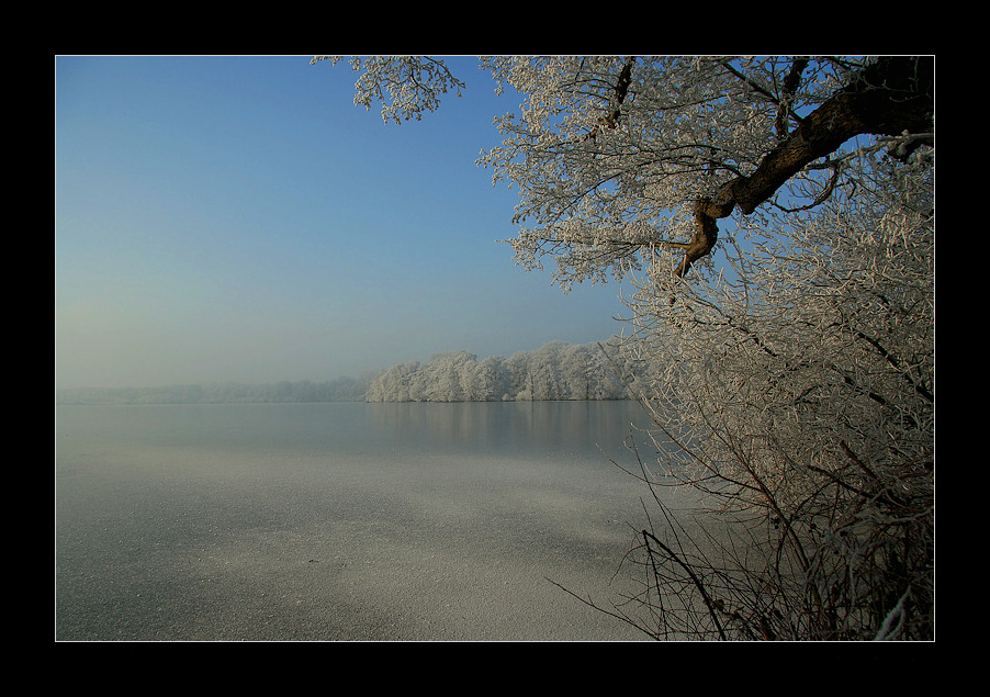 Wintertraum am Krickenbecker See