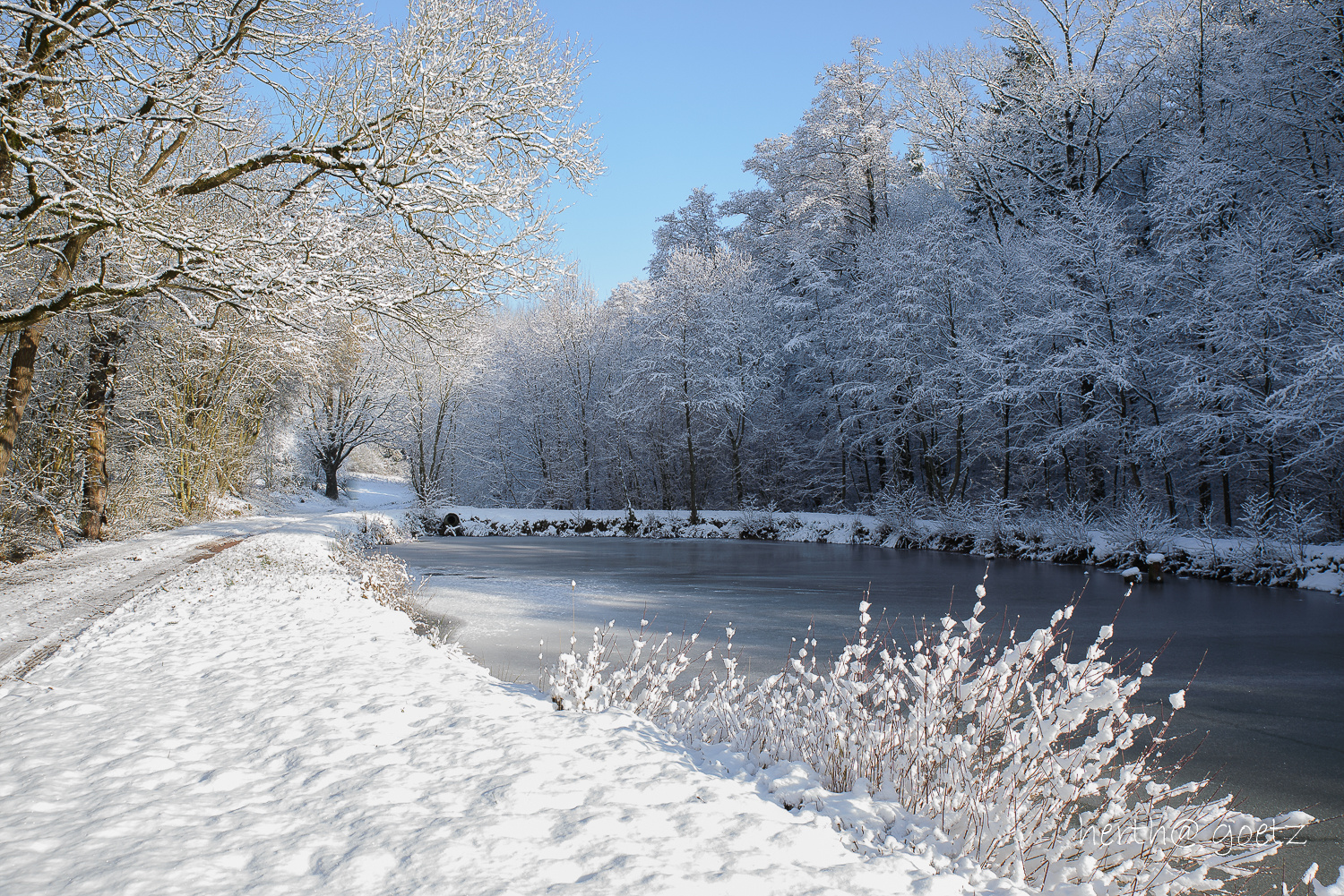 Wintertraum am See