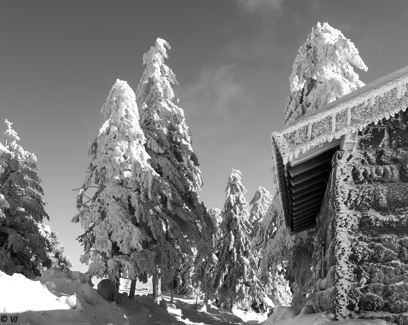 Wintertraum auf der Hornisgrinde II