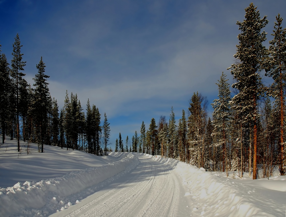 Wintertraum von Otmar Sonntag