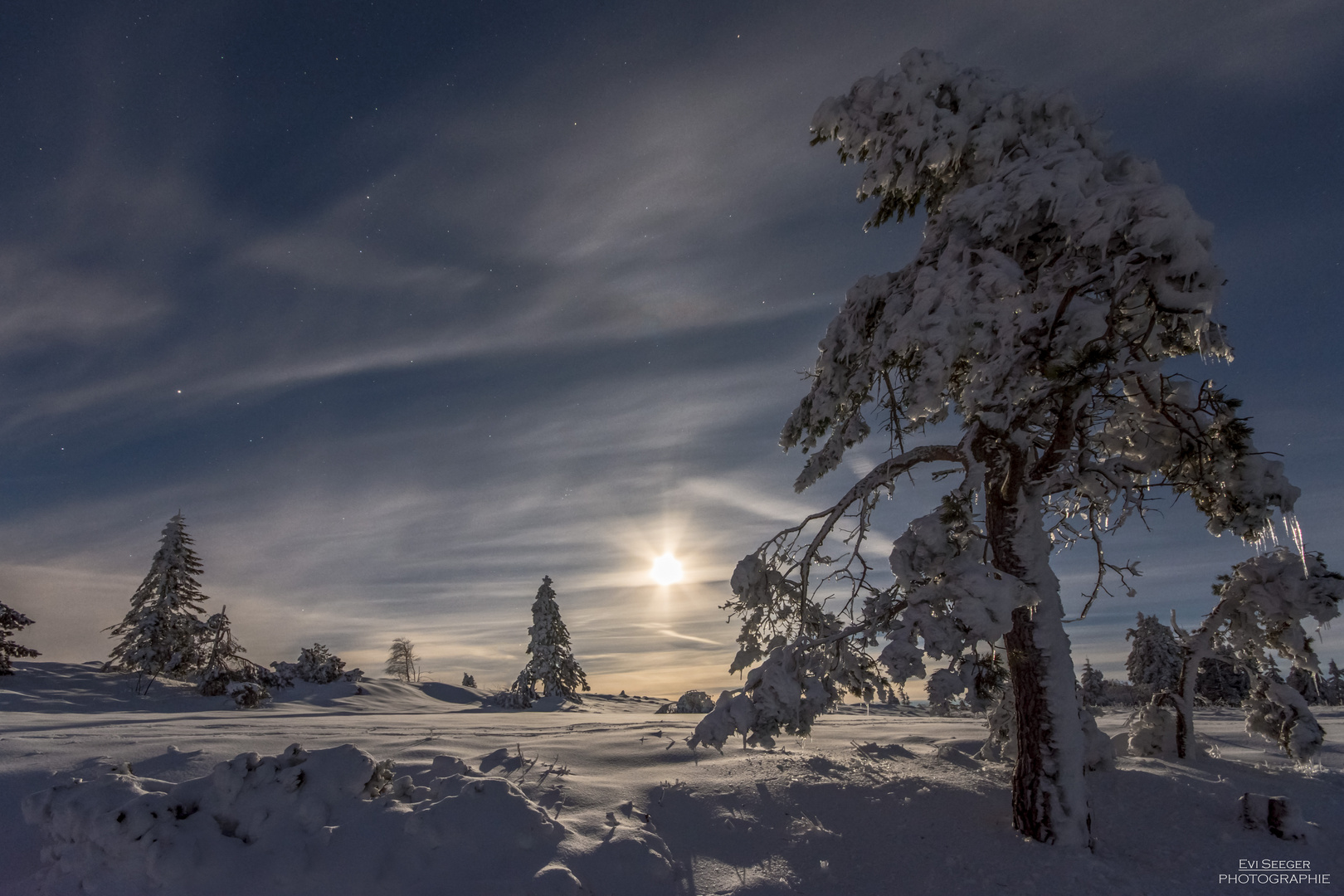  - Wintertraum bei Vollmond - 