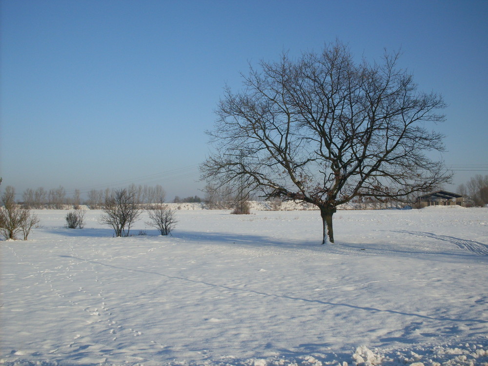 Wintertraum