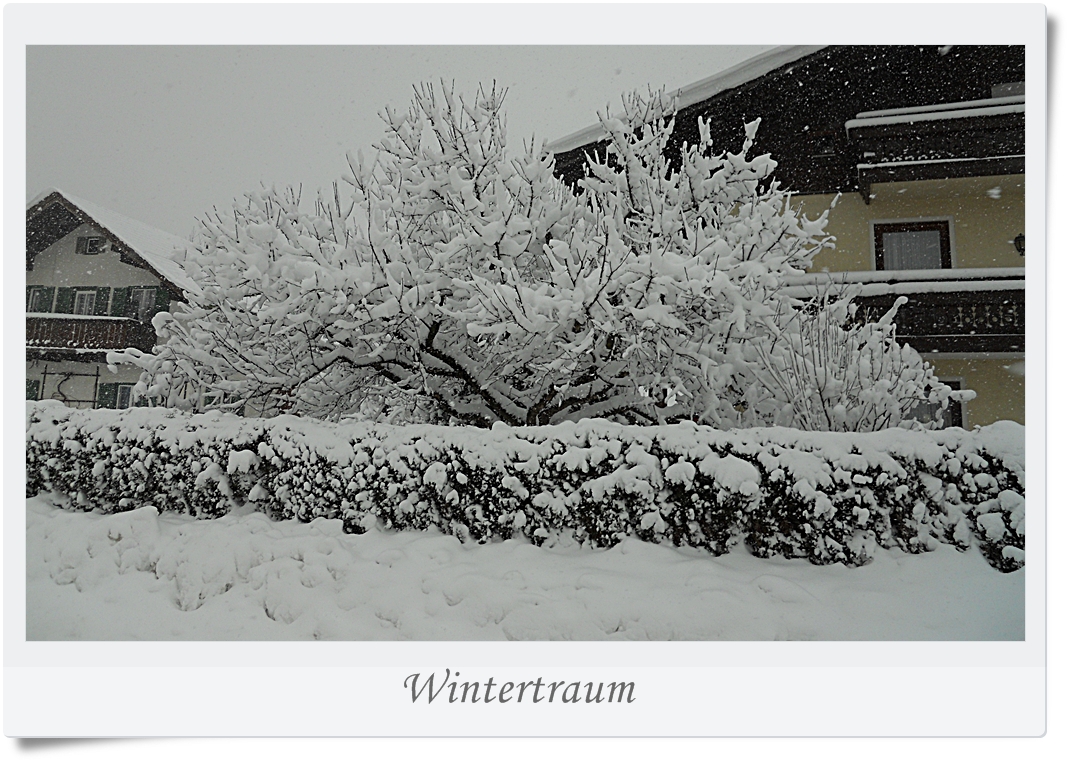 Wintertraum