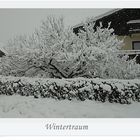 Wintertraum