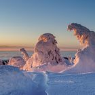 ~Wintertraum Harz~