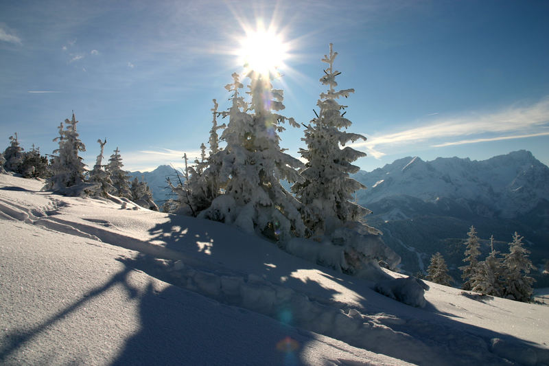 Wintertraum im Gegenlicht