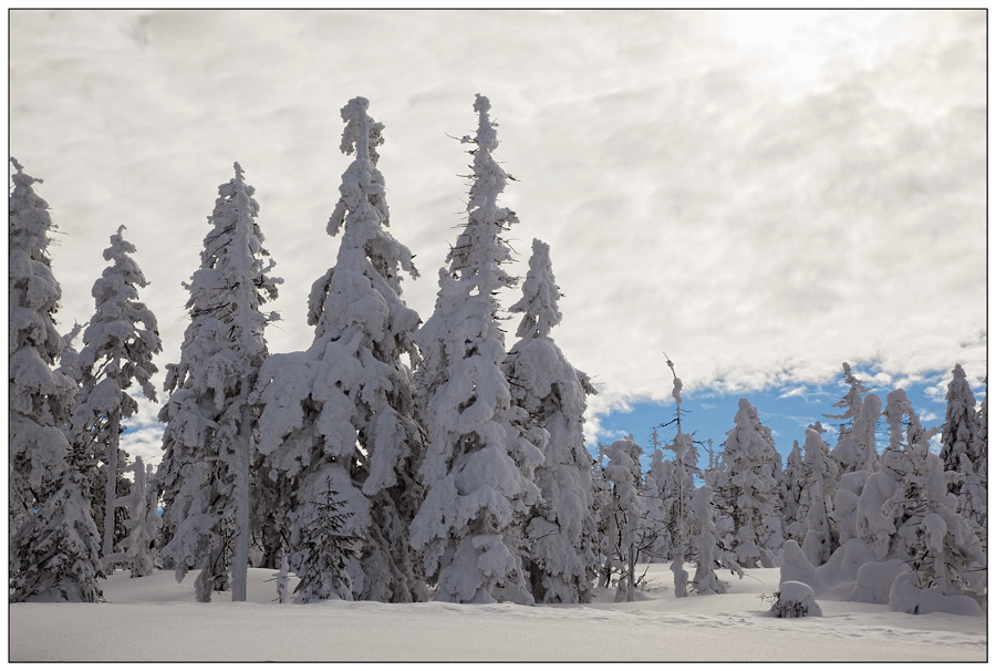 Wintertraum im Harz