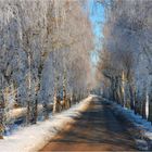 Wintertraum im März