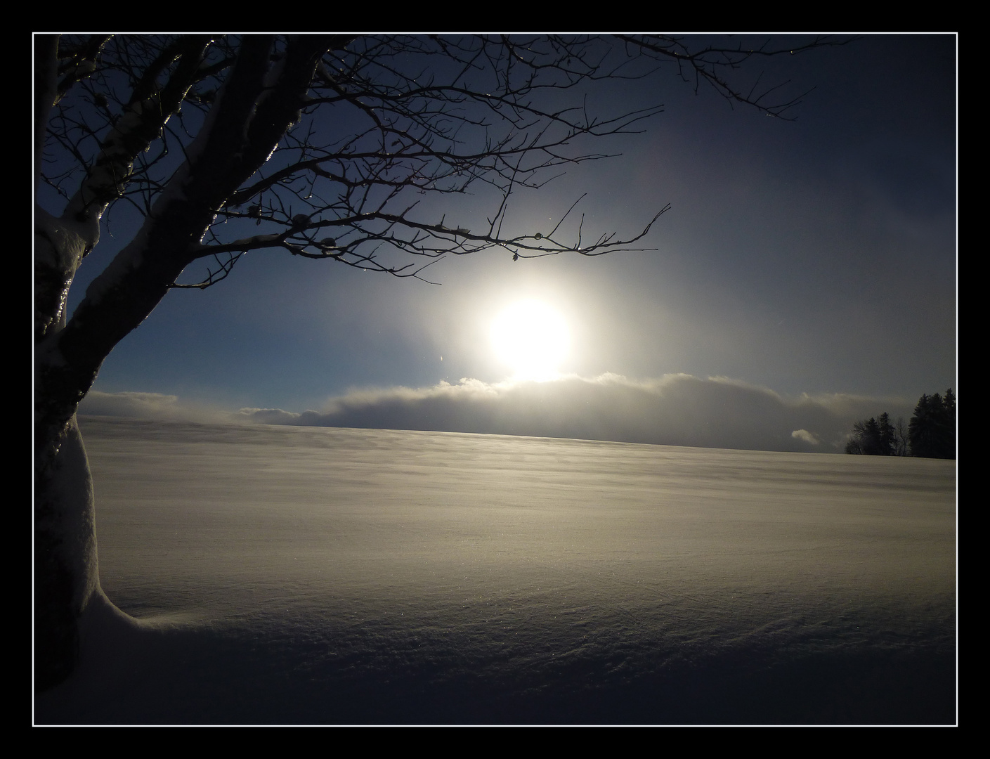 Wintertraum im Schwarzwald