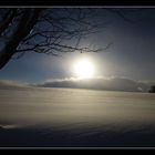 Wintertraum im Schwarzwald