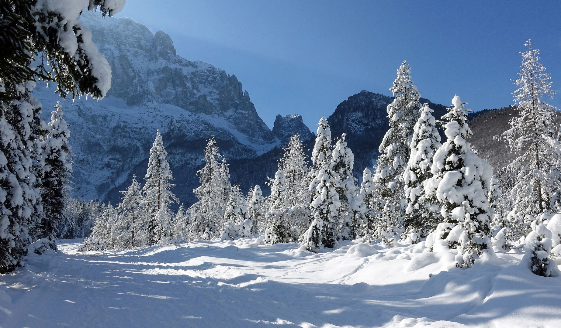 Wintertraum im Val Saisera