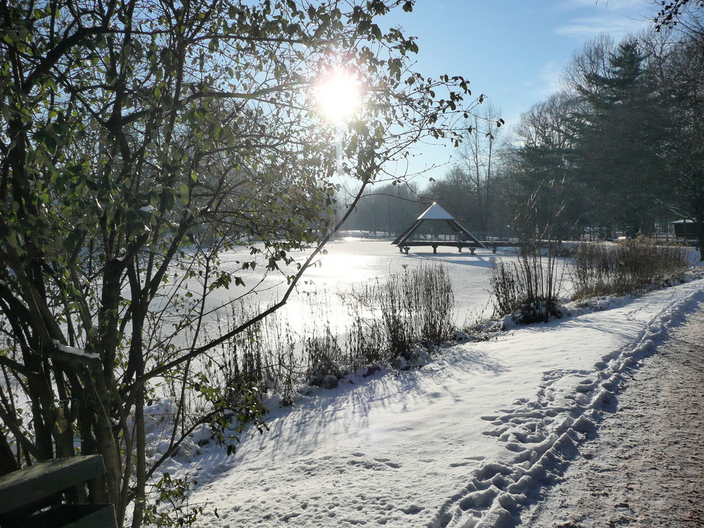 Wintertraum in Bad Sassendorf