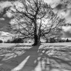 Wintertraum in der Rhön