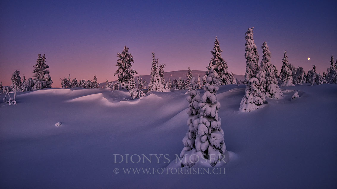 Wintertraum in Finnland