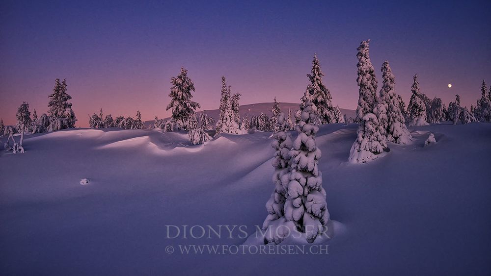 Wintertraum in Finnland