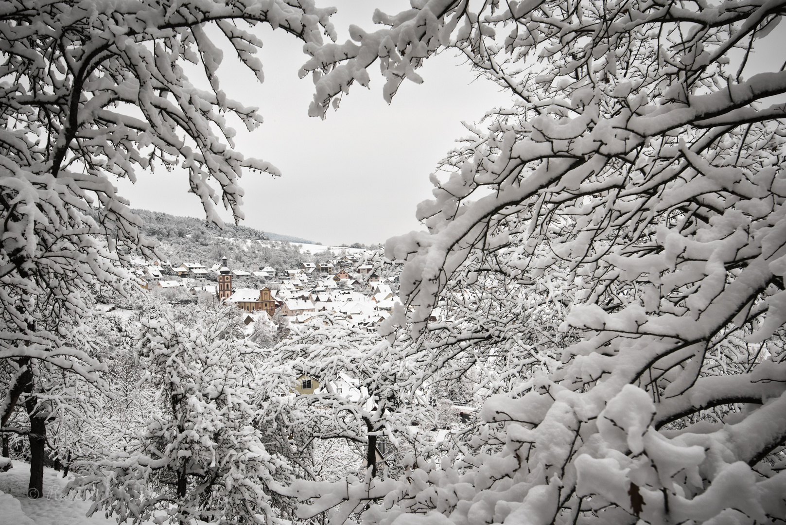 WINTERTRAUM in REICHOLZHEIM