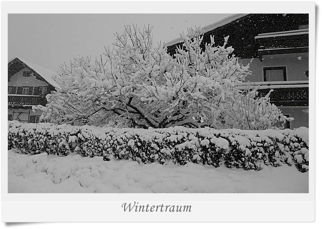 Wintertraum in s/w