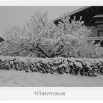 Wintertraum in s/w