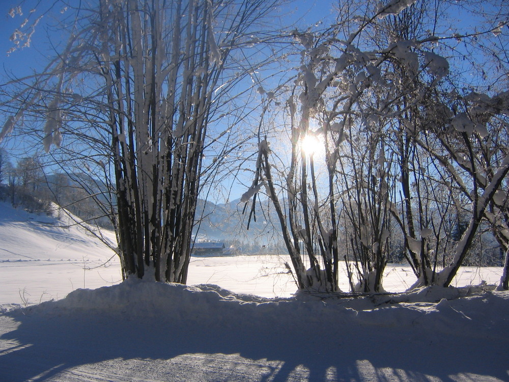 Wintertraum in Tirol