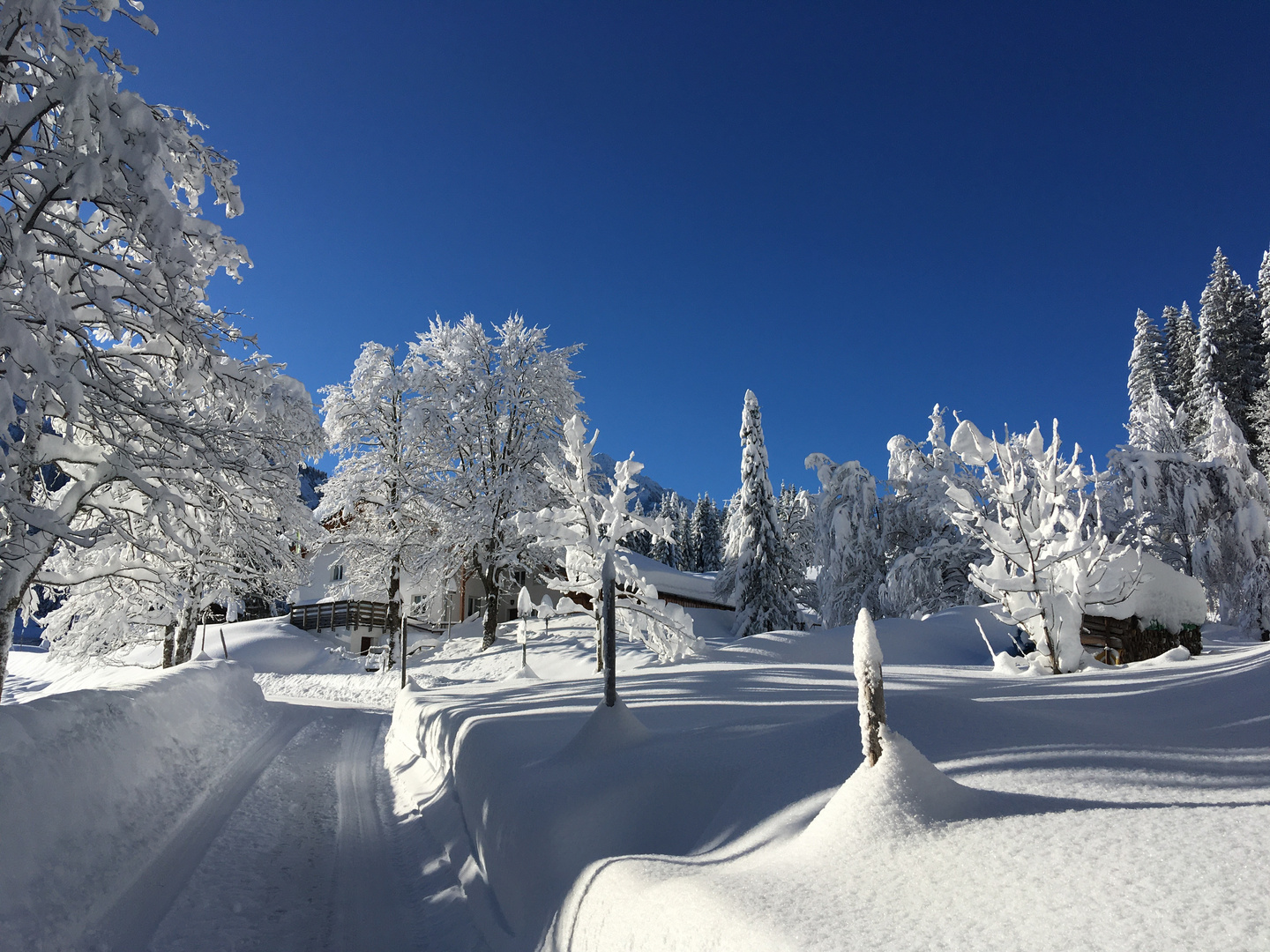 Wintertraum in Weiß und Blau