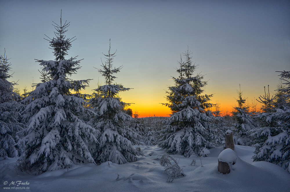 Wintertraum in Wittgenstein...