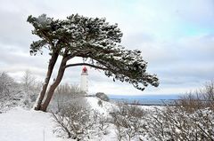 Wintertraum Insel Hiddensee