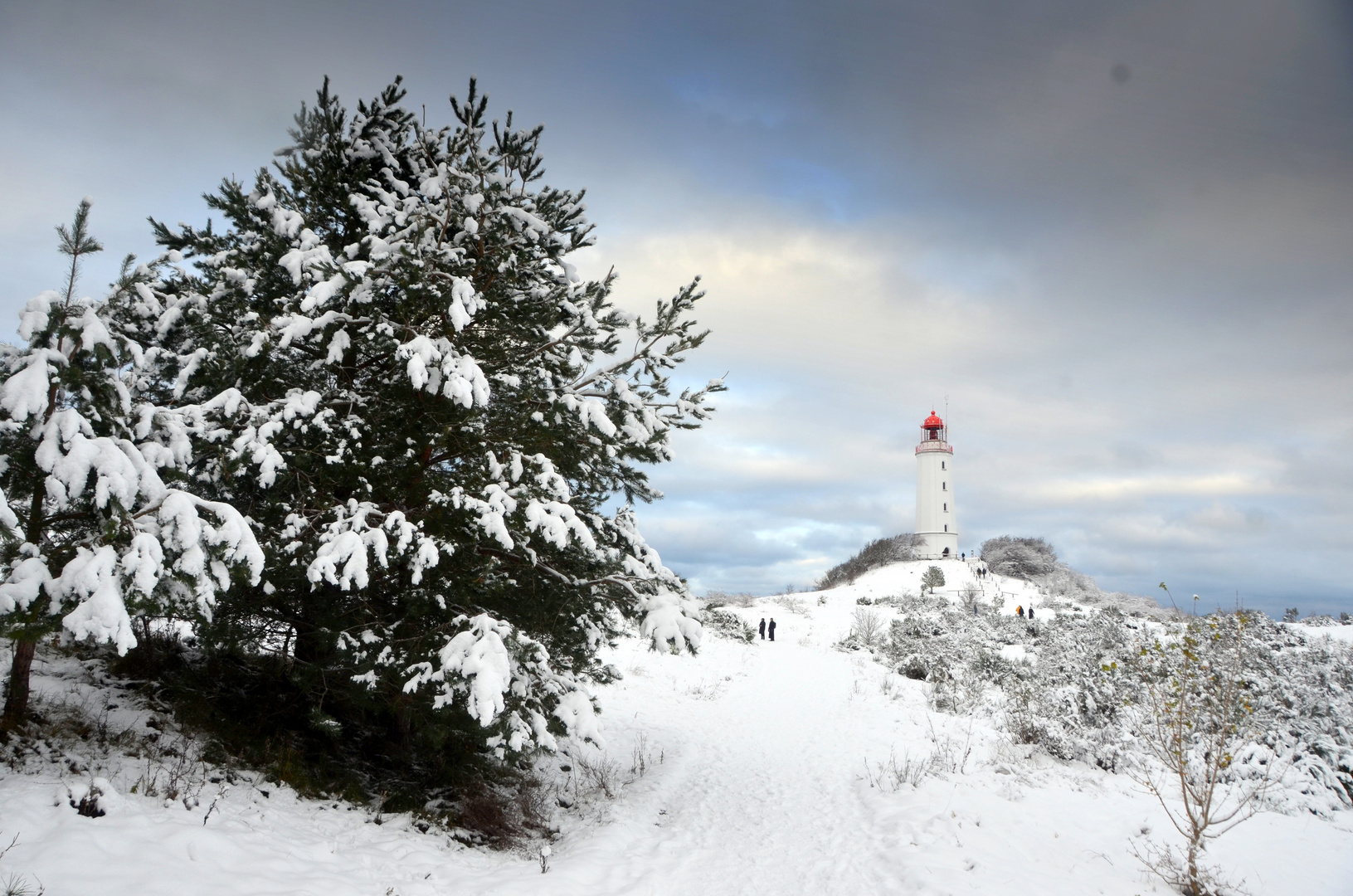 Wintertraum Insel Hiddensee