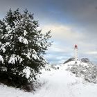 Wintertraum Insel Hiddensee