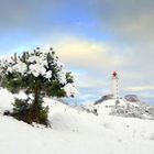 Wintertraum Insel Hiddensee