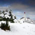 Wintertraum Insel Hiddensee