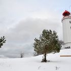 Wintertraum Insel Hiddensee