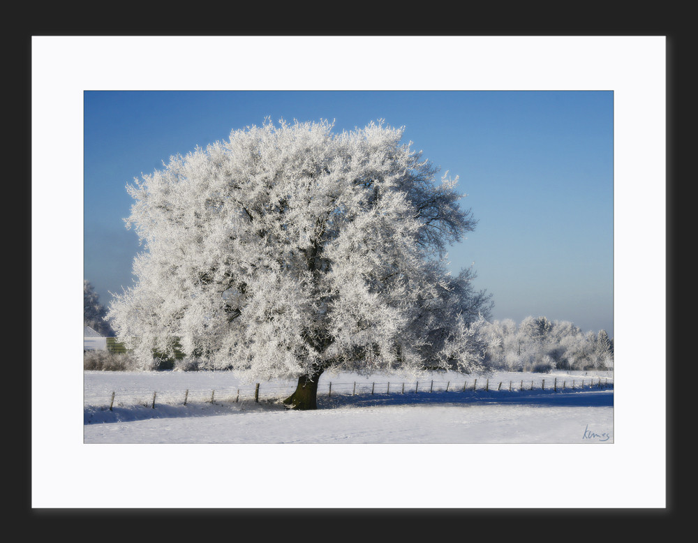 Wintertraum Niederrhein