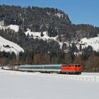 Wintertraum Oberallgäu