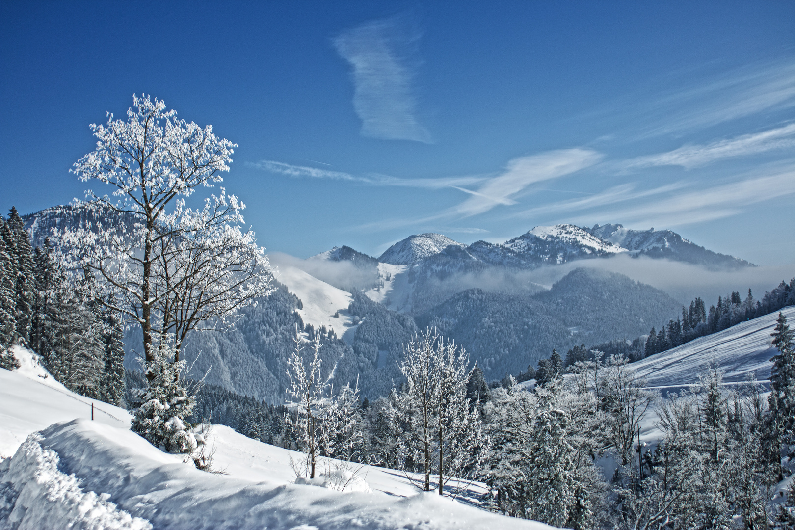 Wintertraum oberhalb des Spitzingsees