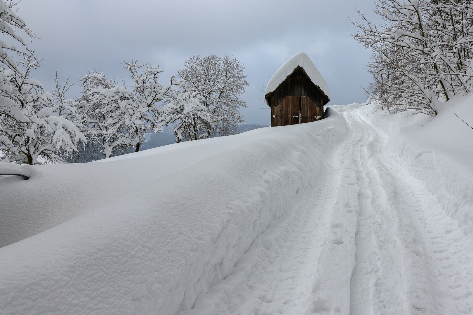 Wintertraum oder Schneechaos? Foto & Bild landschaft