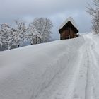 Wintertraum oder Schneechaos ...?