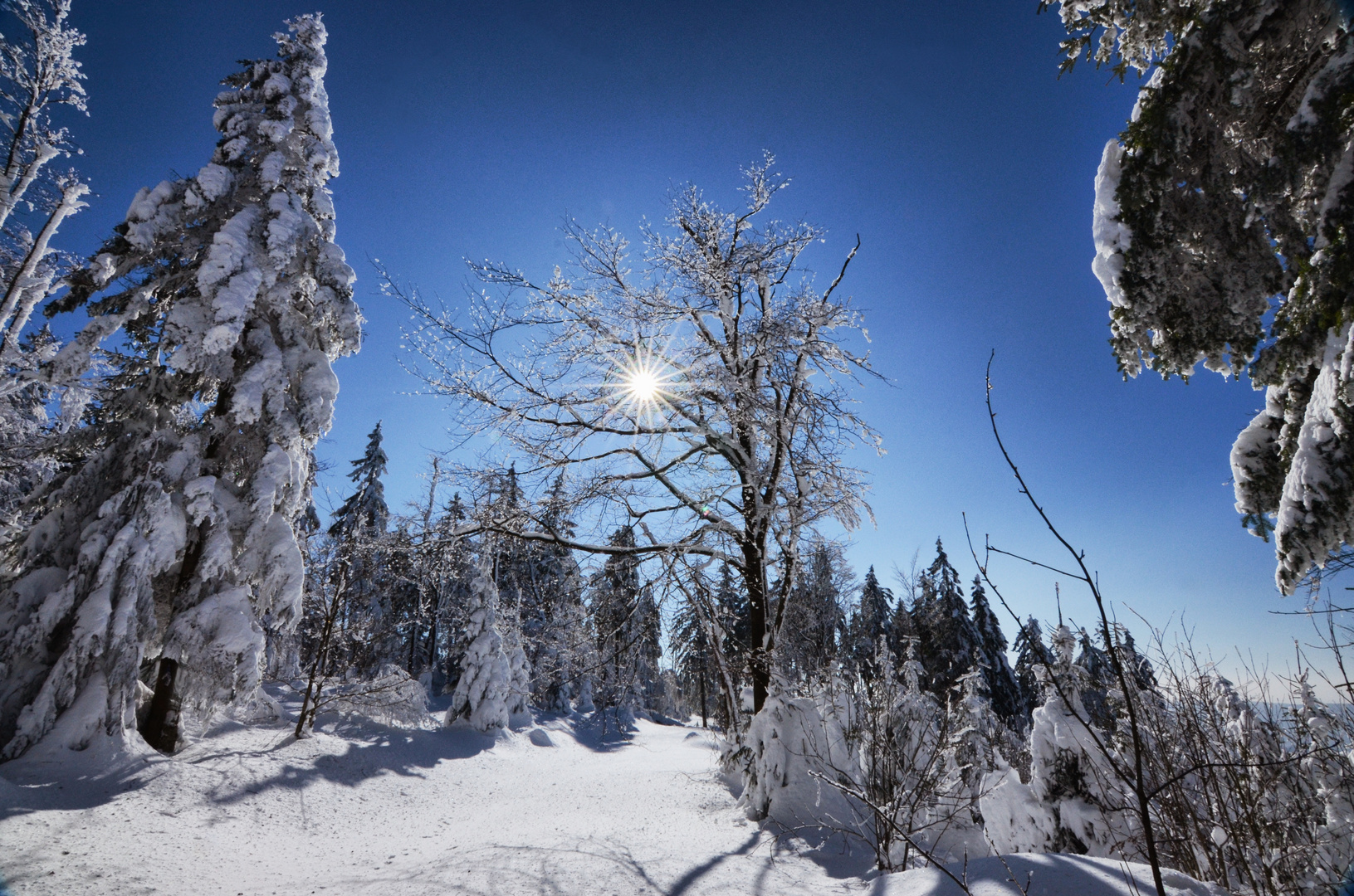 Wintertraum überm Renchtal